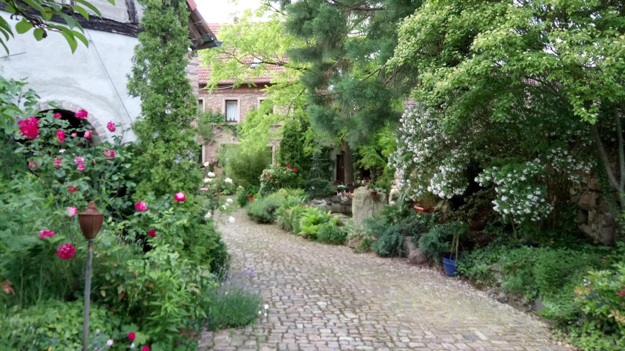 "El Patio" Am Donnersberg Apartment Dannenfels ภายนอก รูปภาพ