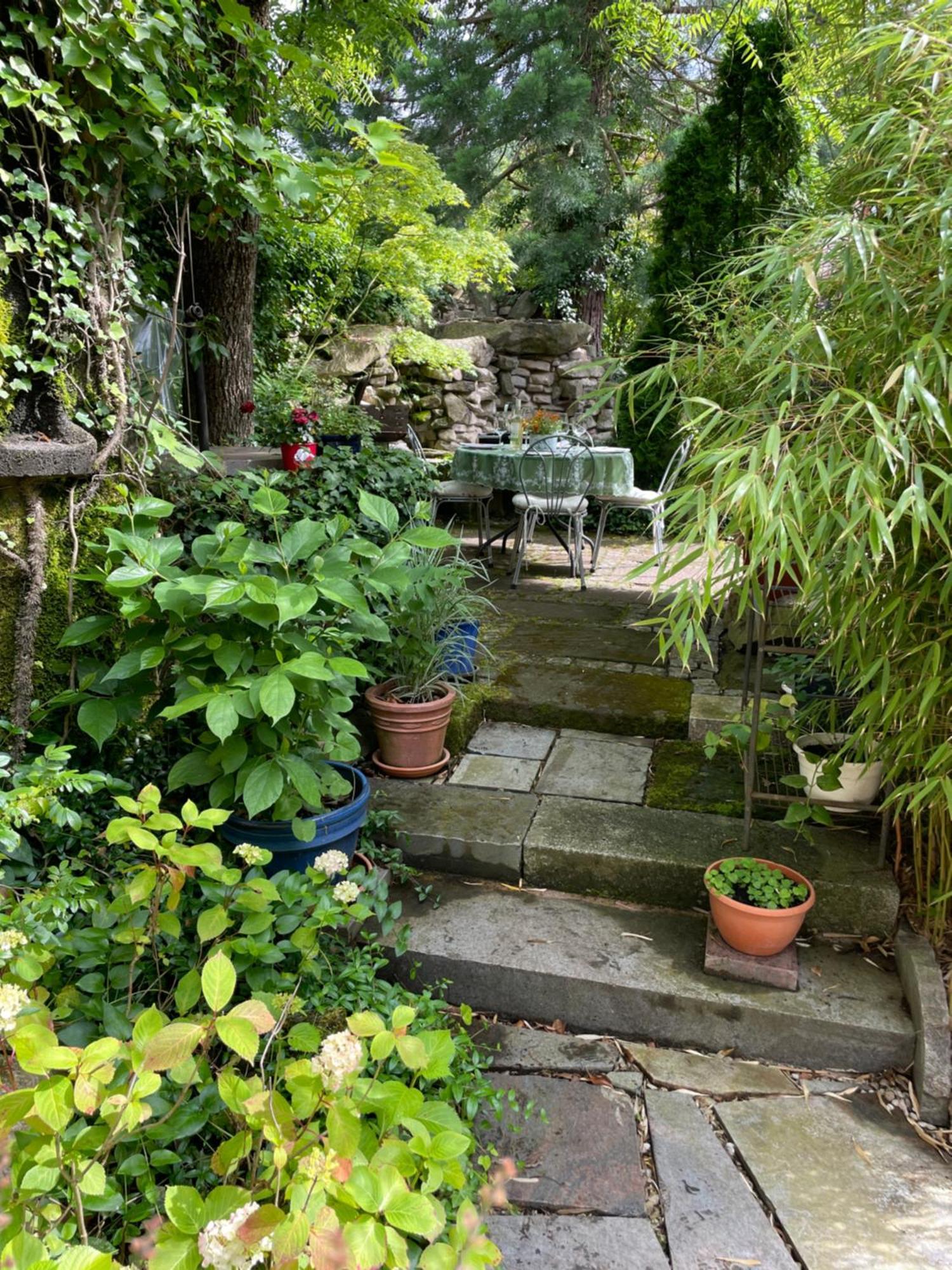 "El Patio" Am Donnersberg Apartment Dannenfels ภายนอก รูปภาพ