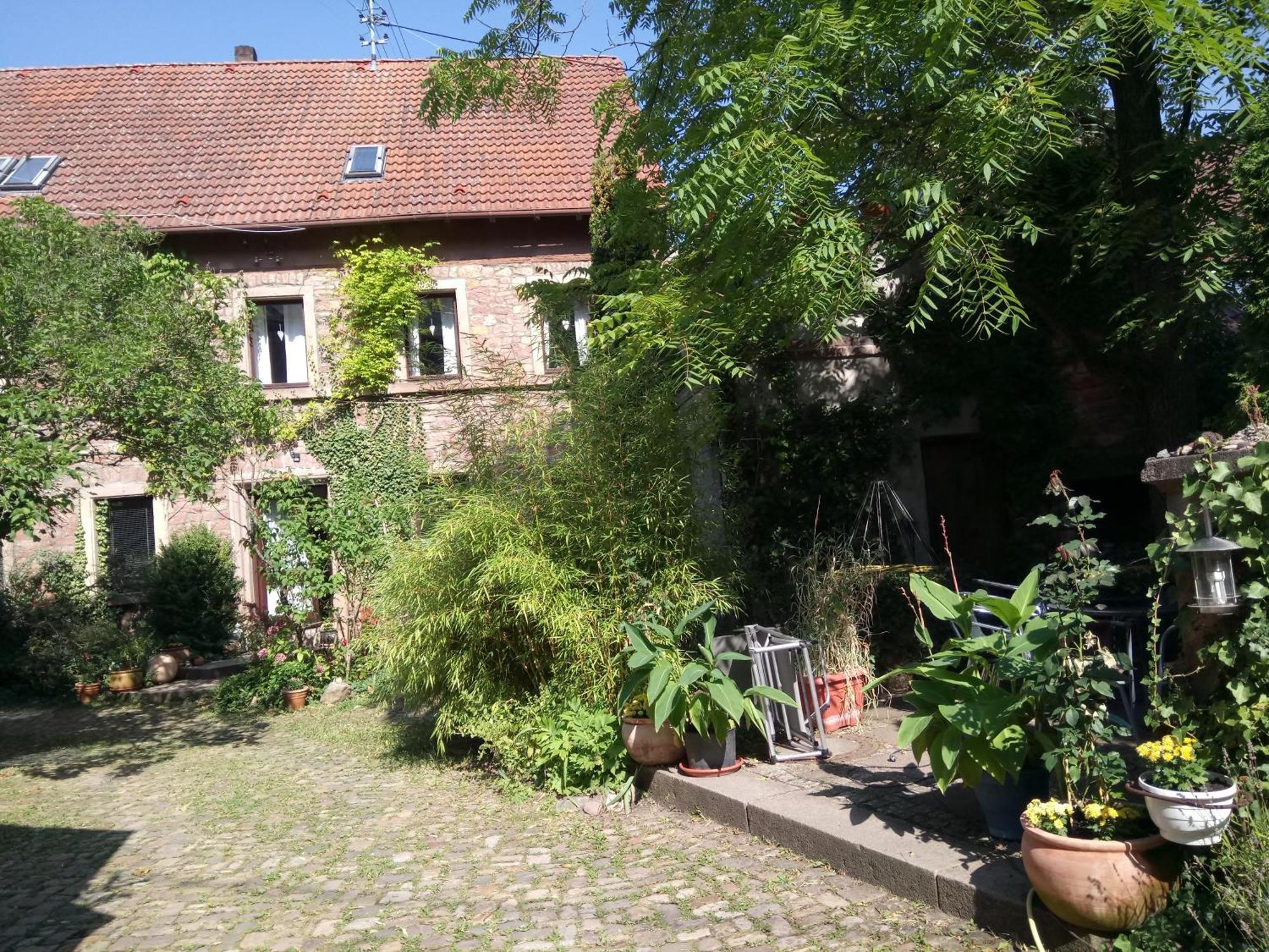 "El Patio" Am Donnersberg Apartment Dannenfels ภายนอก รูปภาพ