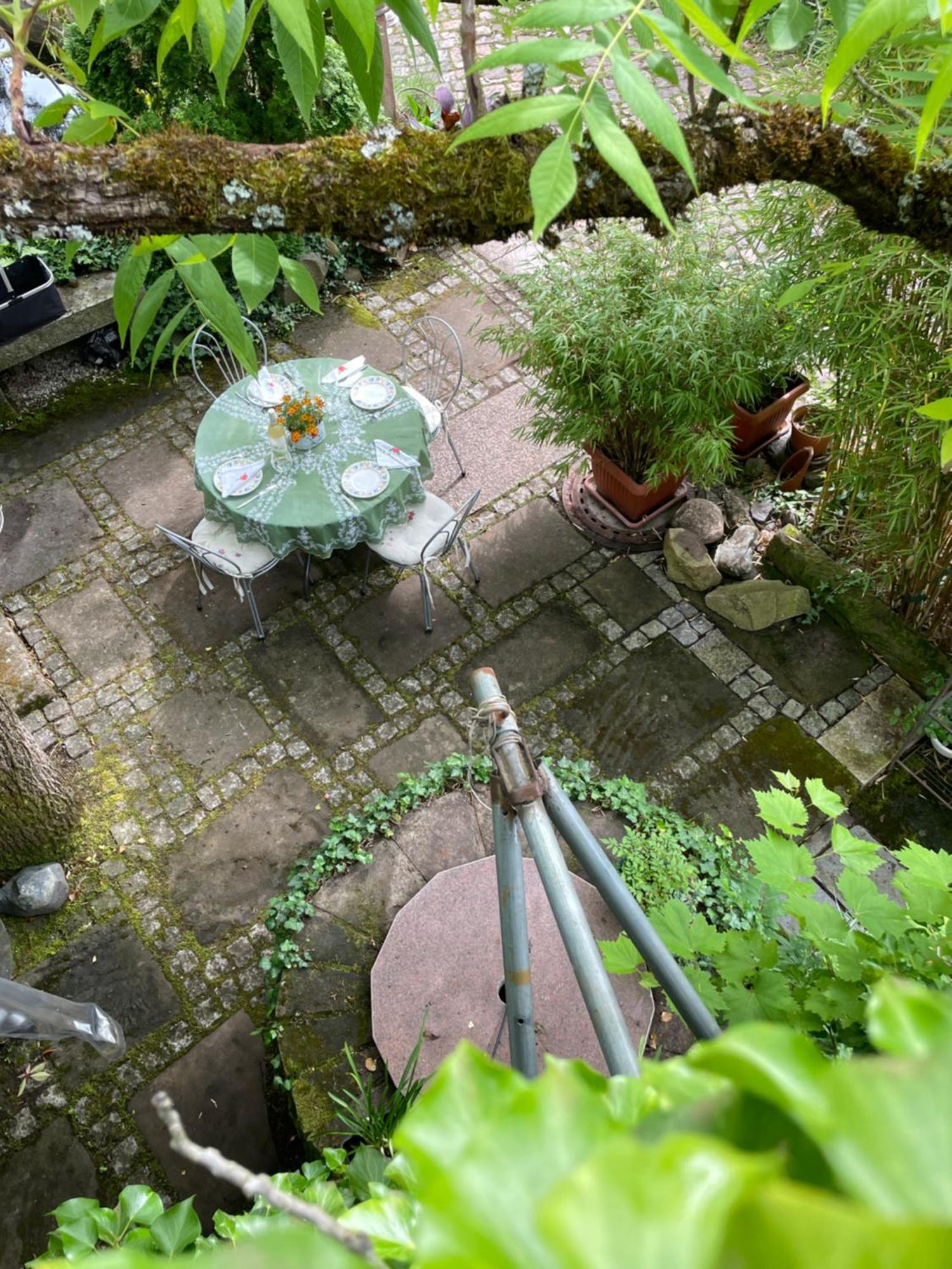 "El Patio" Am Donnersberg Apartment Dannenfels ภายนอก รูปภาพ