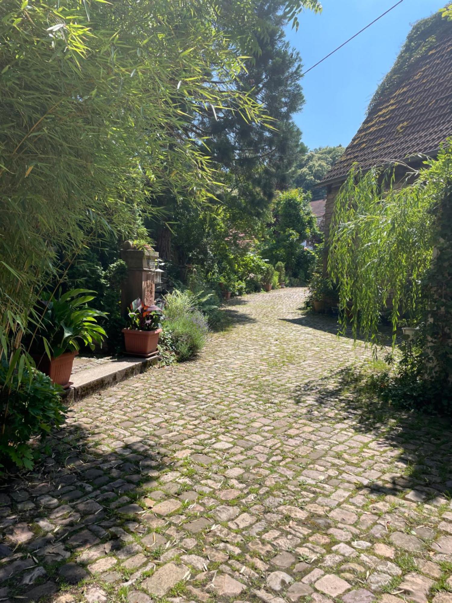 "El Patio" Am Donnersberg Apartment Dannenfels ภายนอก รูปภาพ