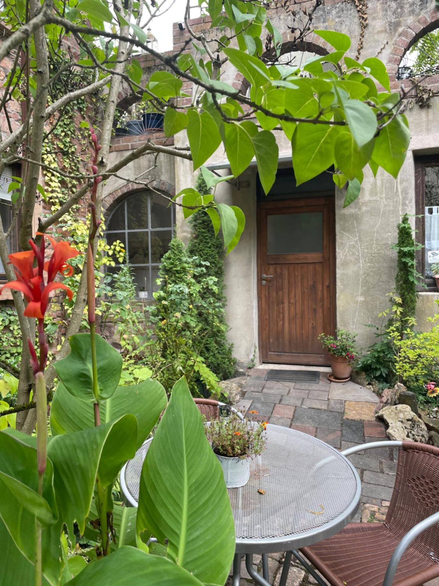 "El Patio" Am Donnersberg Apartment Dannenfels ภายนอก รูปภาพ