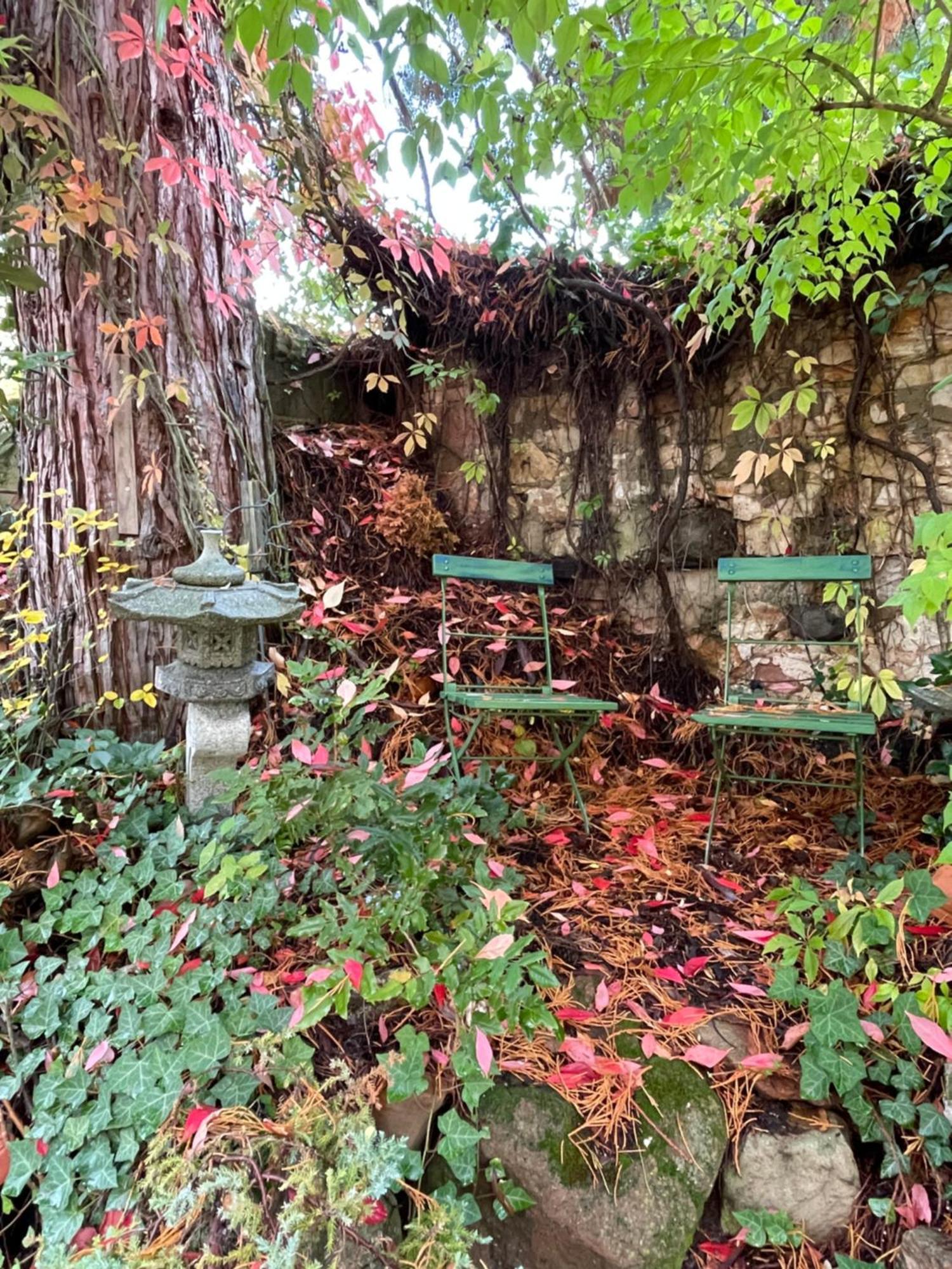 "El Patio" Am Donnersberg Apartment Dannenfels ภายนอก รูปภาพ